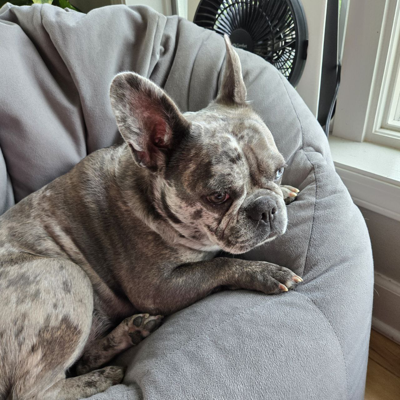 Ella Beanbag Pensive Side