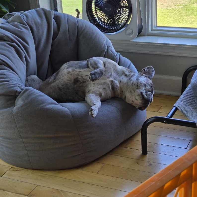 Ella Comfy Nap Bean Bag