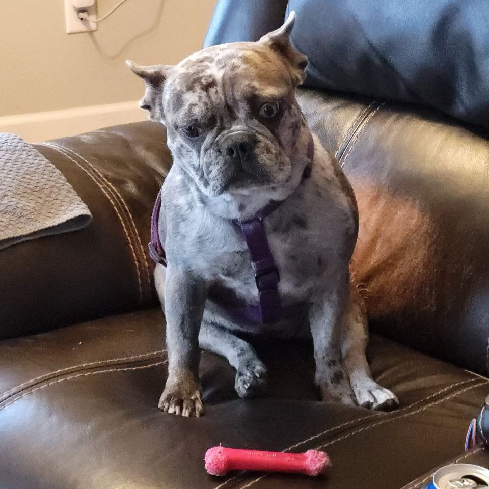 Ella Sitting with Toy
