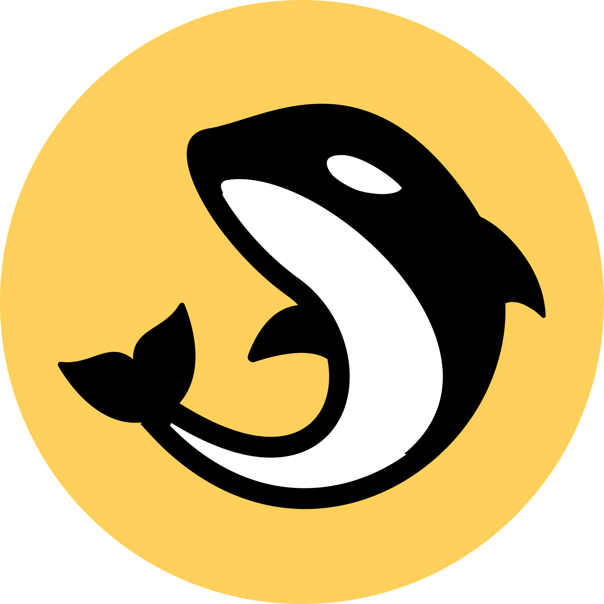 Orca icon
