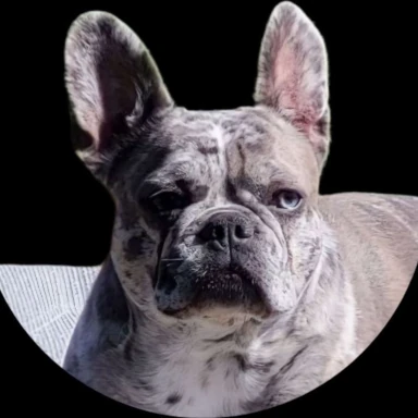 Ella Portrait