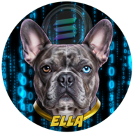 Ella the Crypto Queen