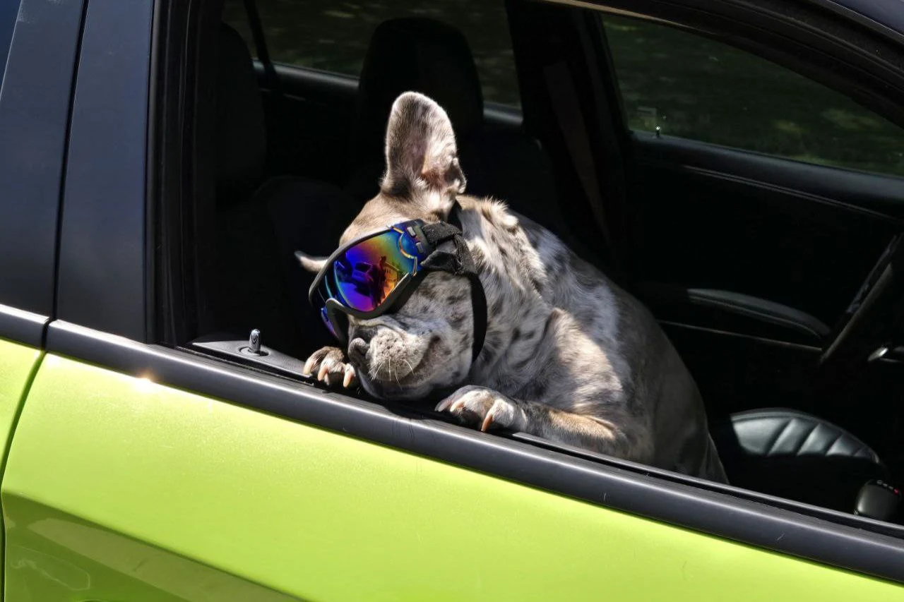Ella Cool Car Ride