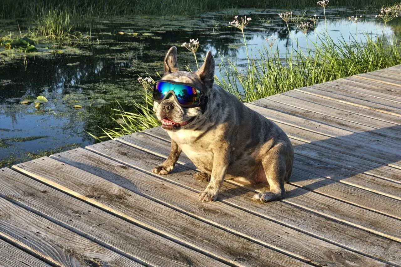Ella Dockside Cool