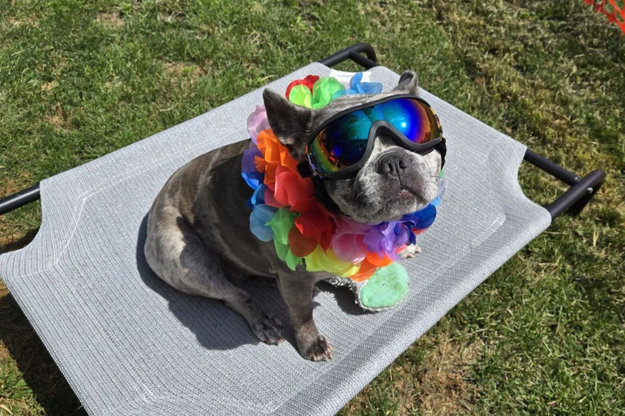 Ella Outdoor Party Queen