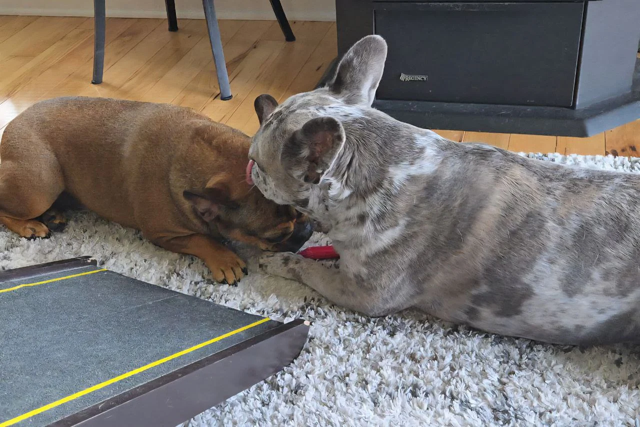 Ella Playing with Friend